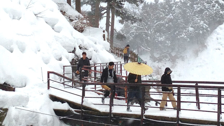 jigokudani-monkey-park-winter