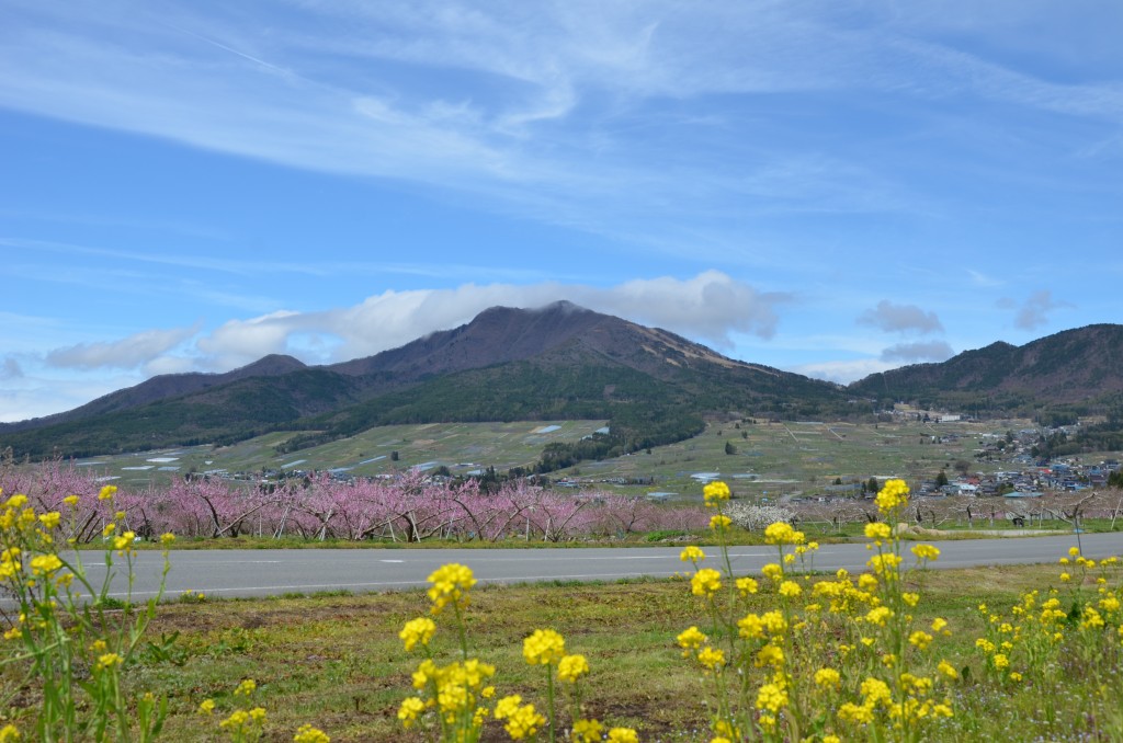 Yamanouchi town, Yudanaka