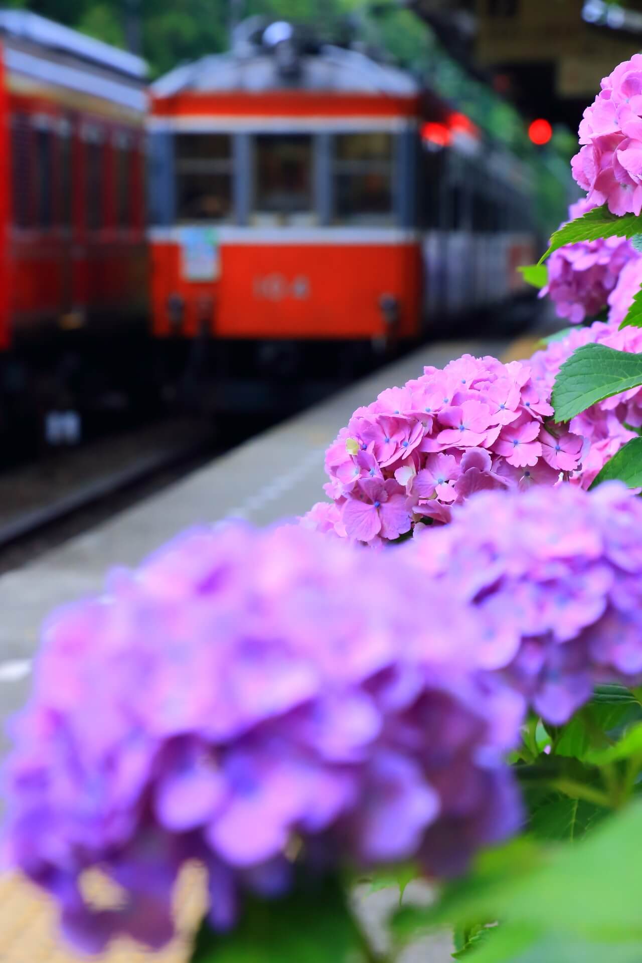 hakone-tozan-railway