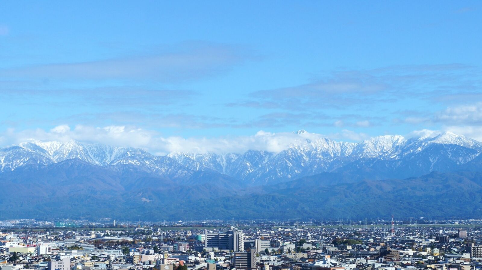 toyama-city-hall-view