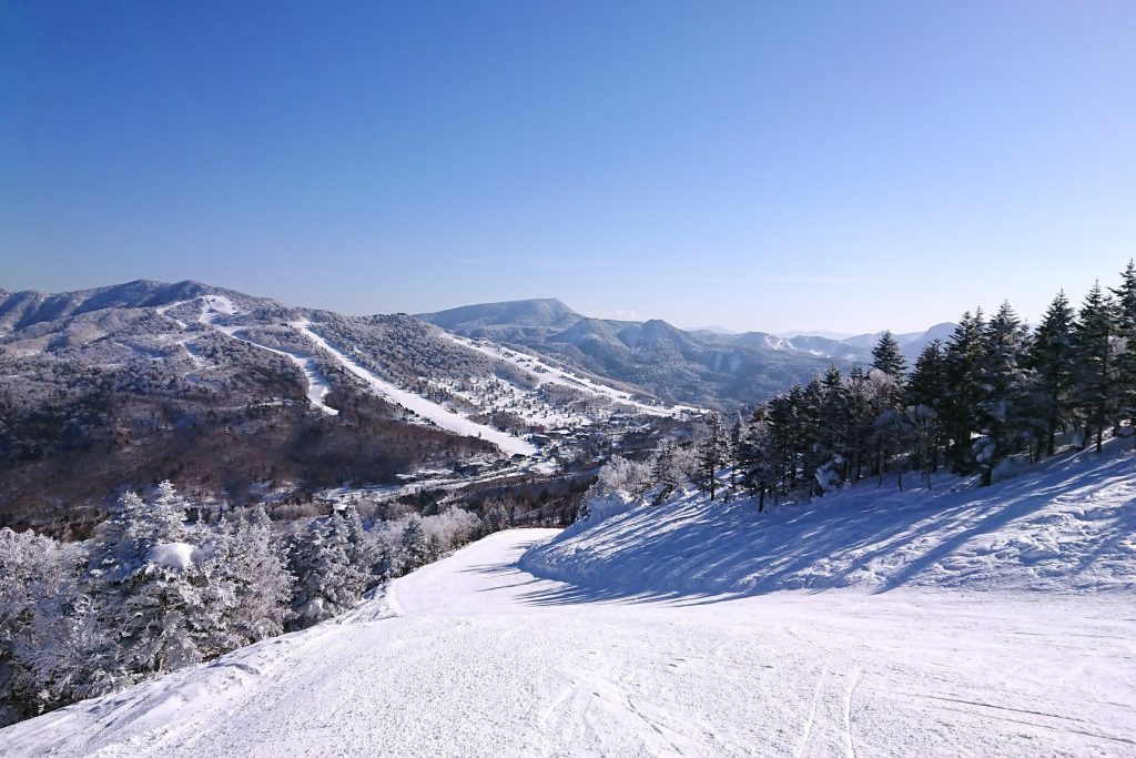 central-area-shiga-kogen-ski-snow