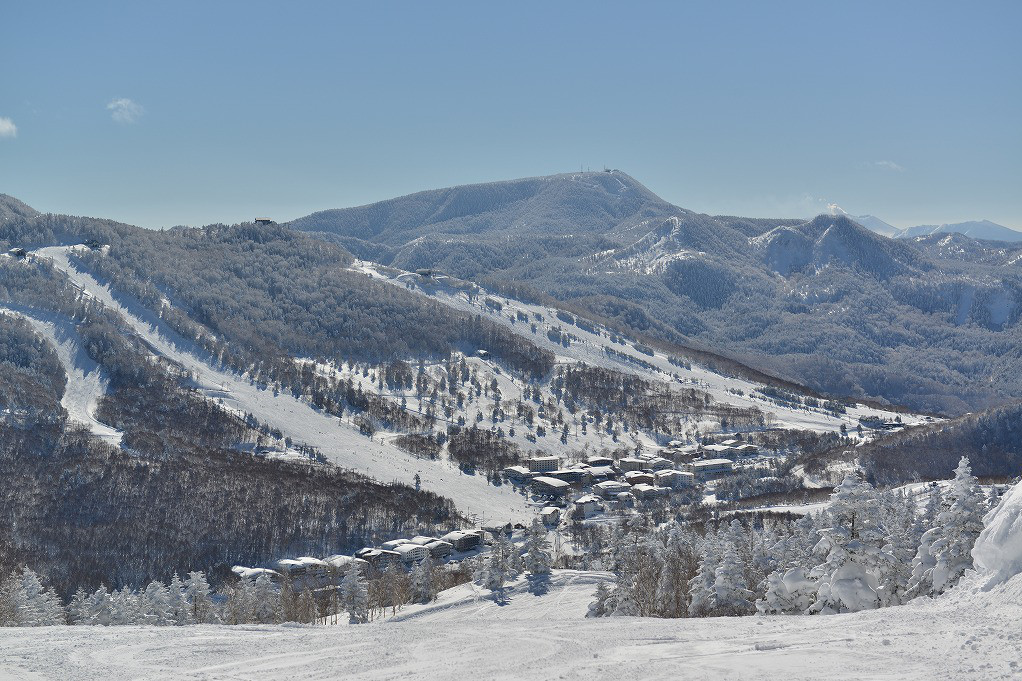 central-area-shiga-kogen-ski-snow