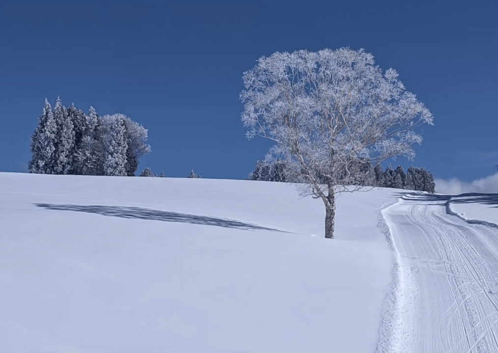 nozawa-onsen-ski-resort