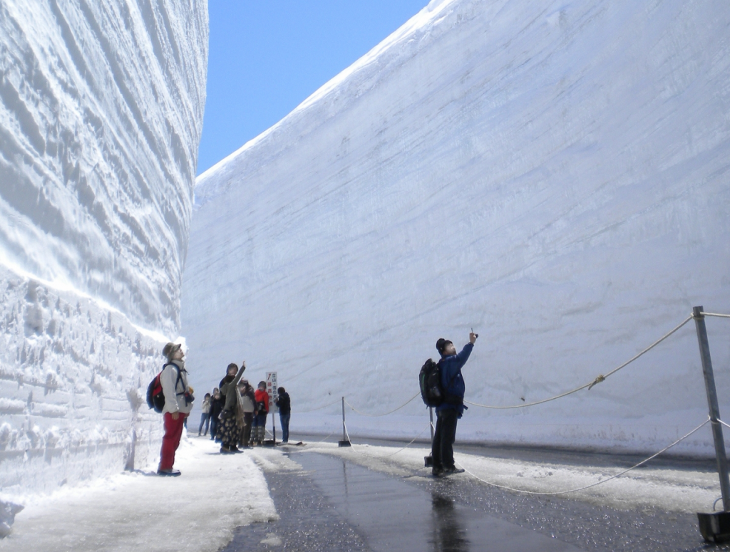 tateyama-kurobe-snow-walls