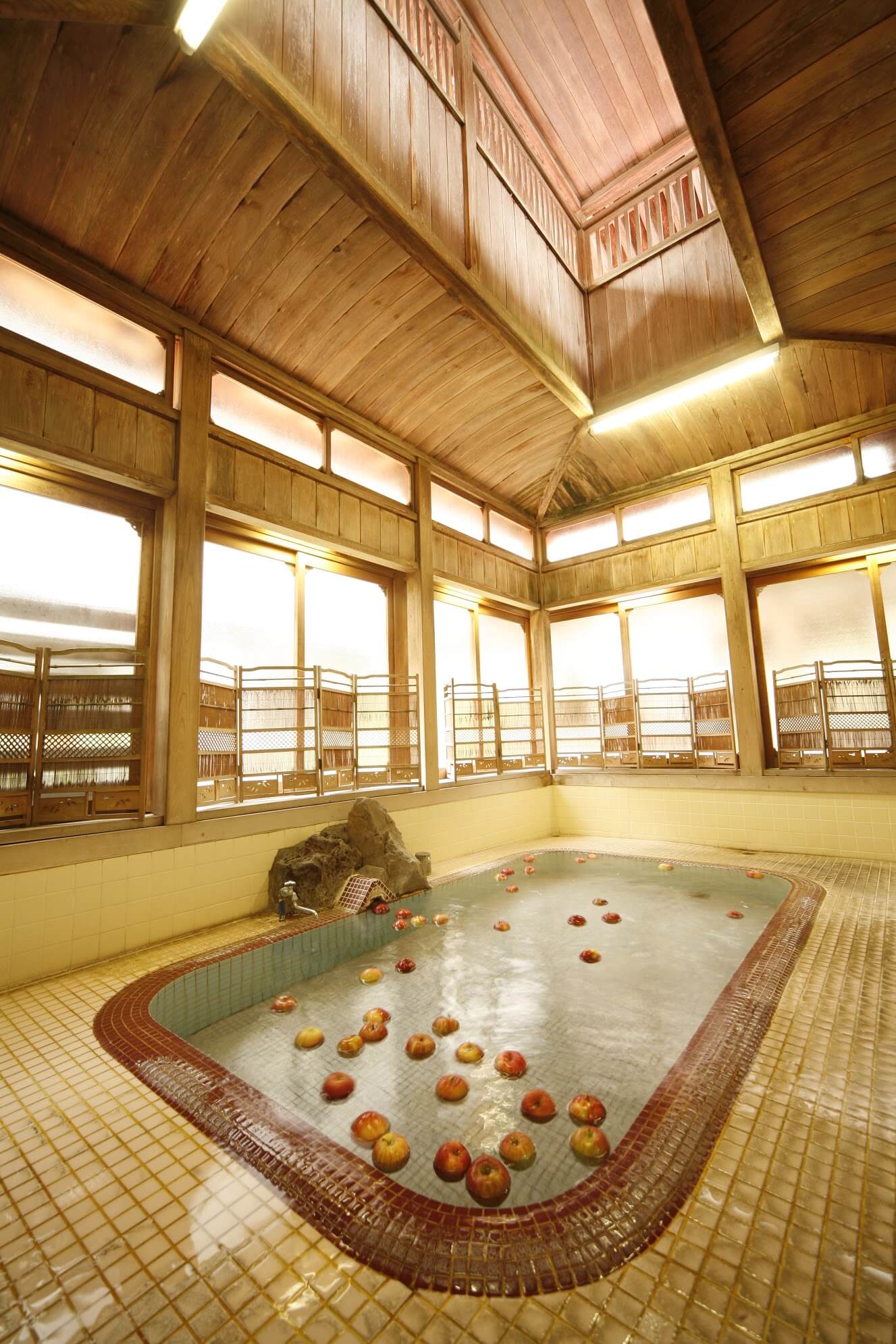 yudanaka-seifuso-ryokan