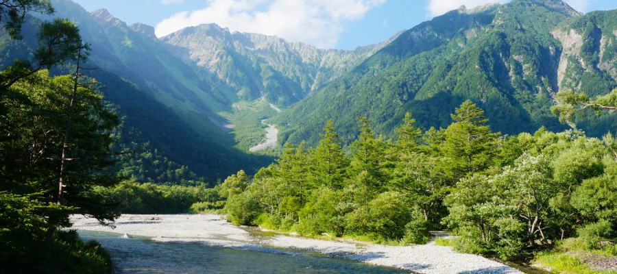 Welcome to SNOW MONKEY RESORTS! | Nagano, Japan