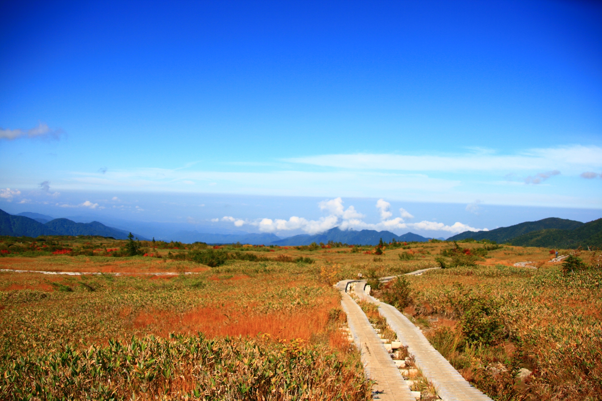 tateyama-kurobe-alpine-route-autumn