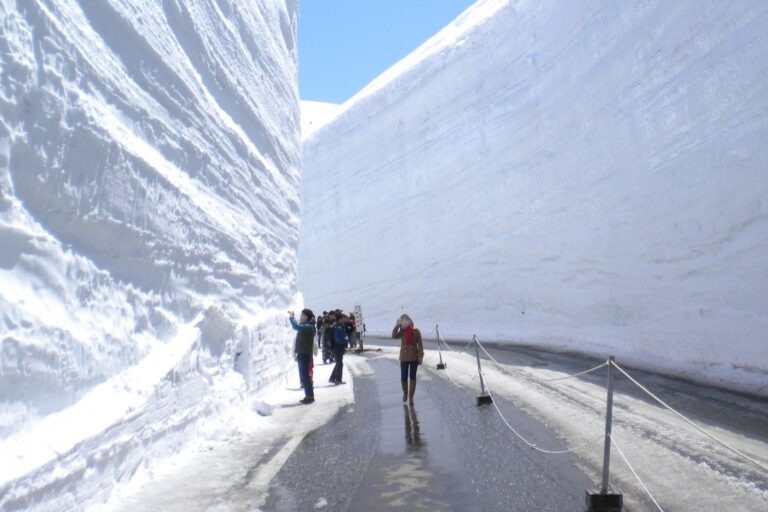 25 Things To Do Around The Tateyama-Kurobe Alpine Route & Where To Stay ...