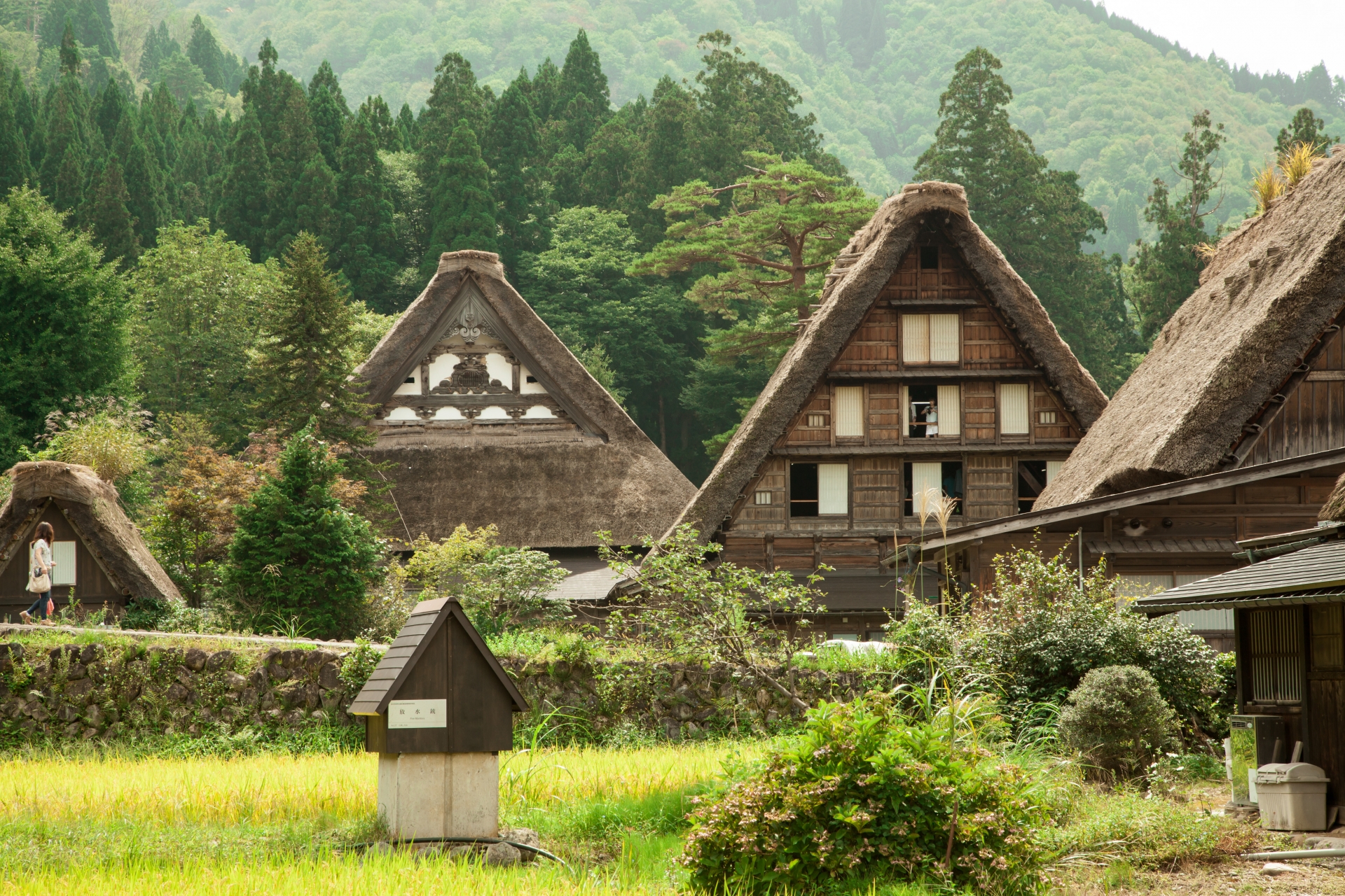 Shirakawa-go & Gokayama - SNOW MONKEY RESORTS