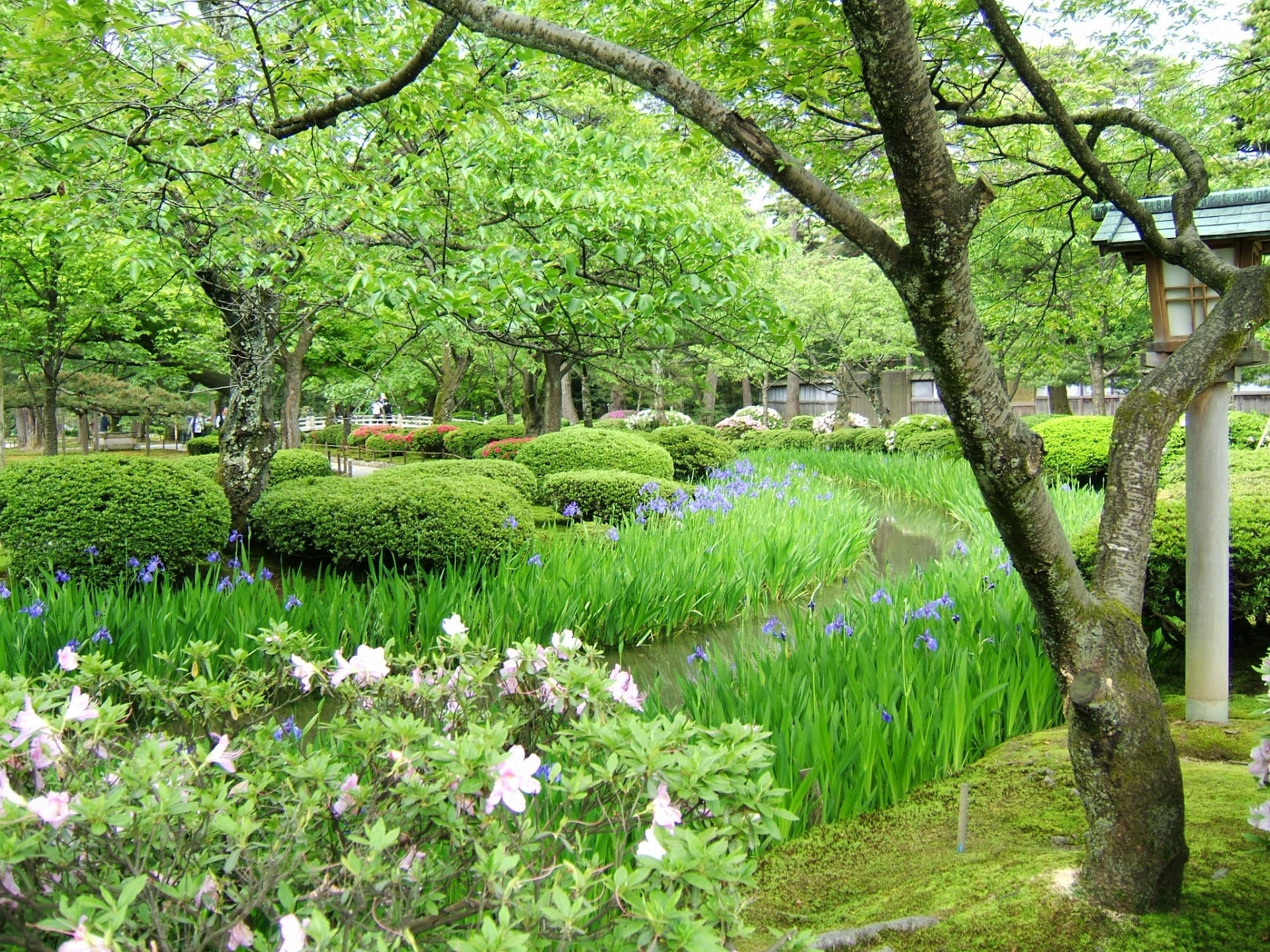 kanazawa-kenrokuen