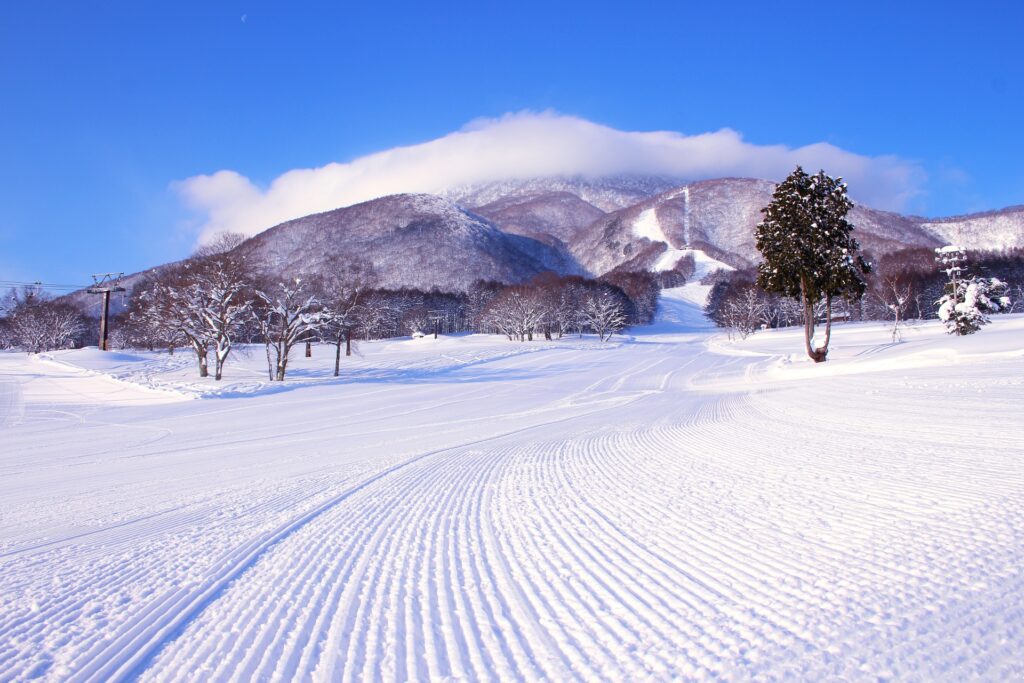 myoko-winter