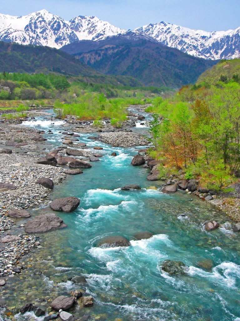 hakuba-green