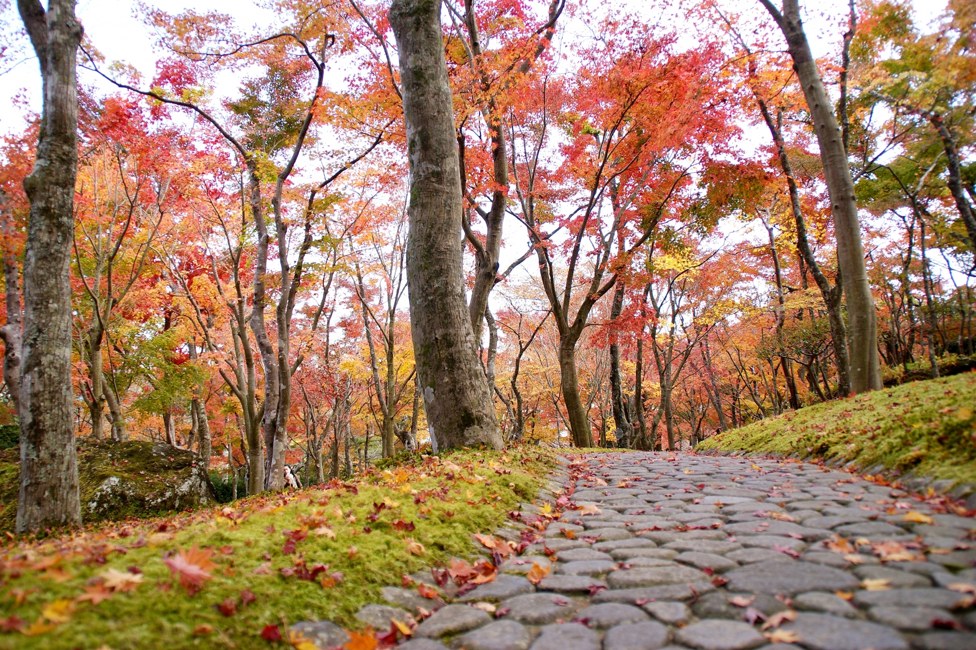 hakone