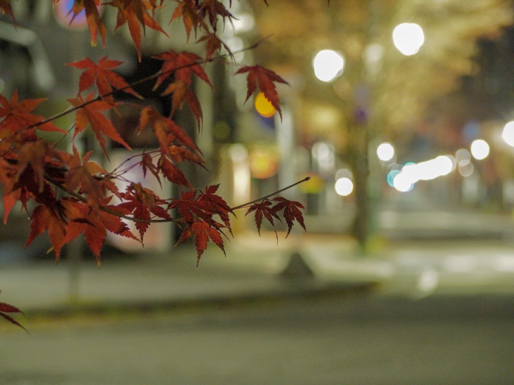 karuizawa-old-ginza