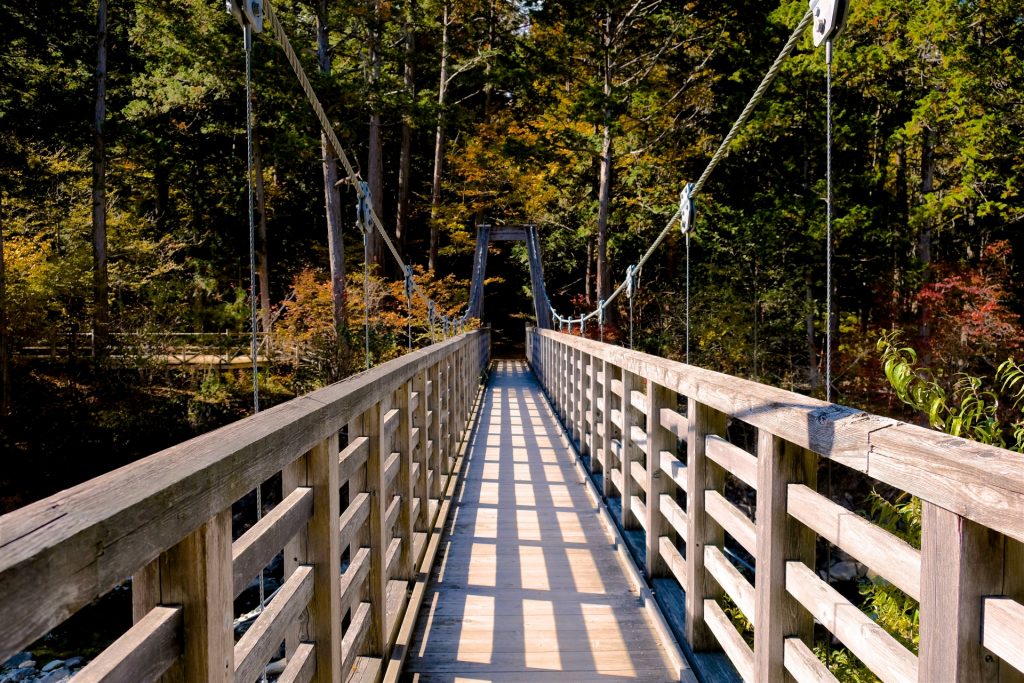 akasawa-forest-kiso