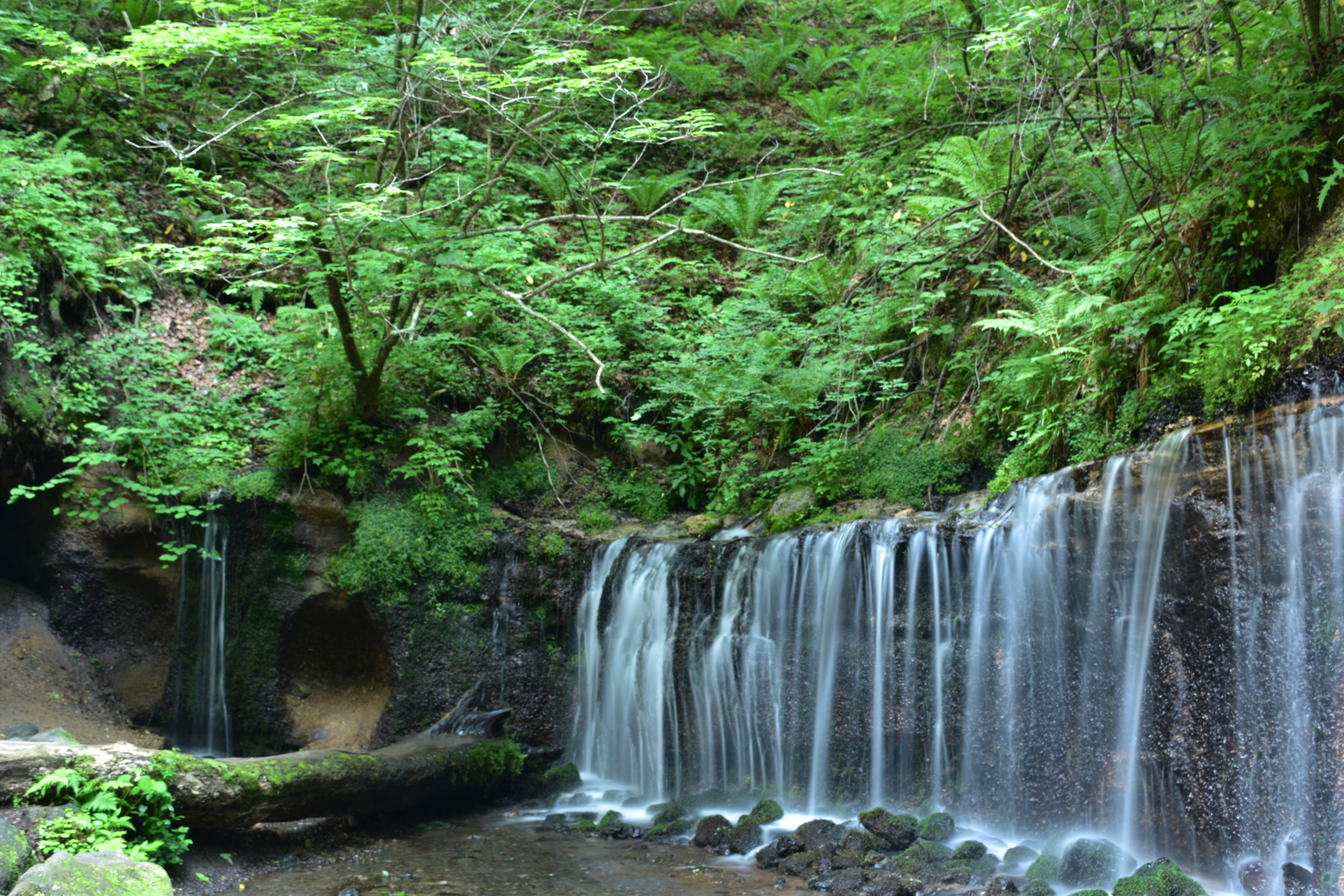 Shiraito Falls Snow Monkey Resorts