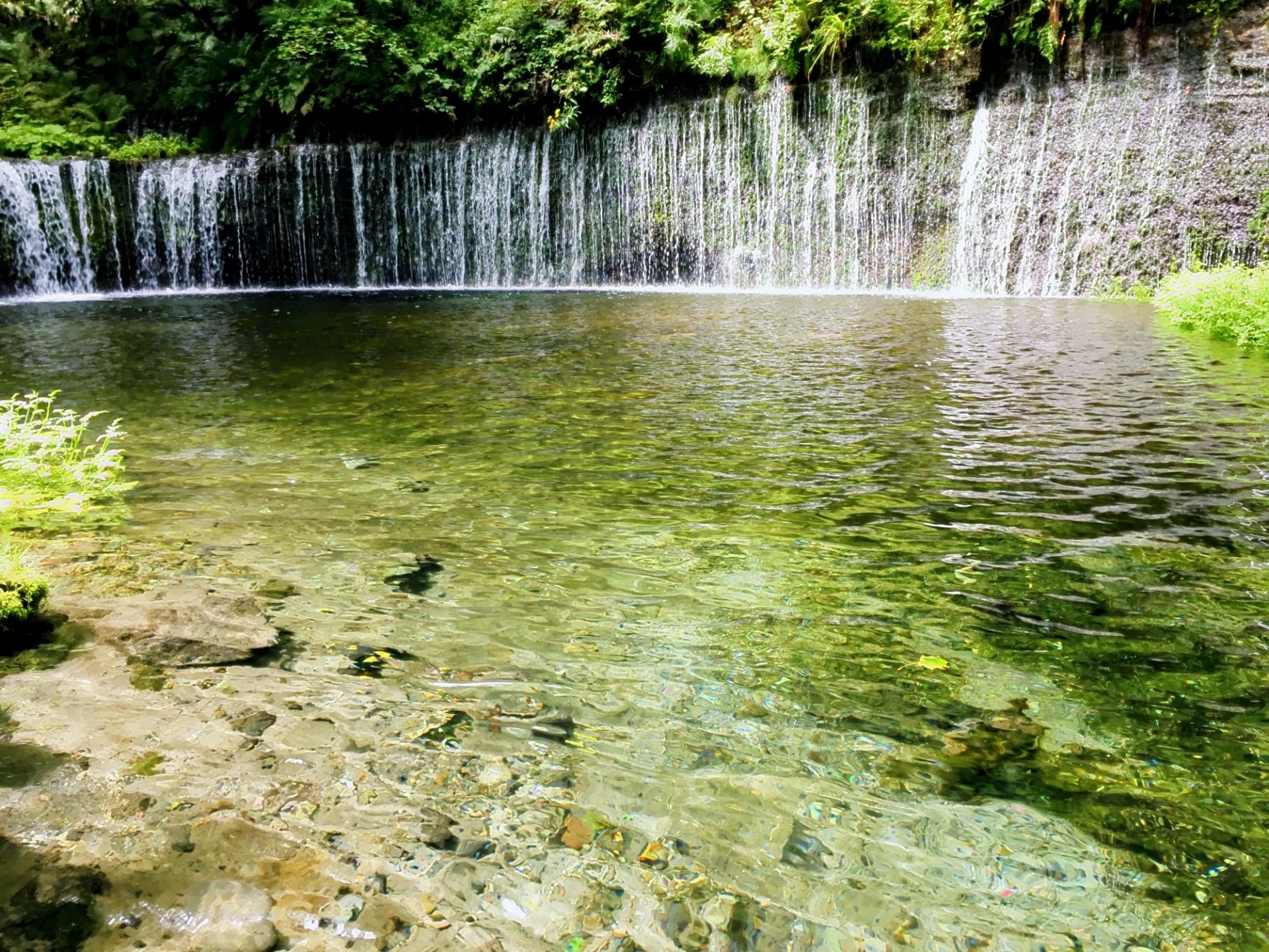 Shiraito Falls Snow Monkey Resorts