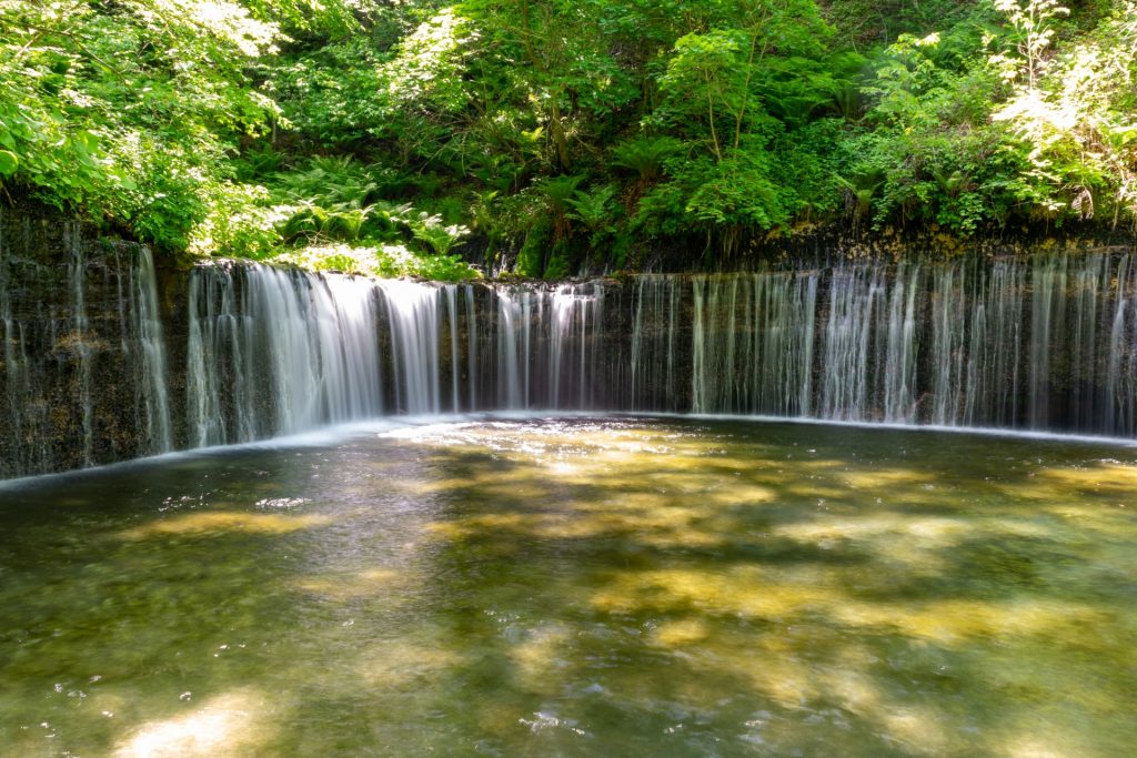 如何前往輕井澤 Snow Monkey Resorts