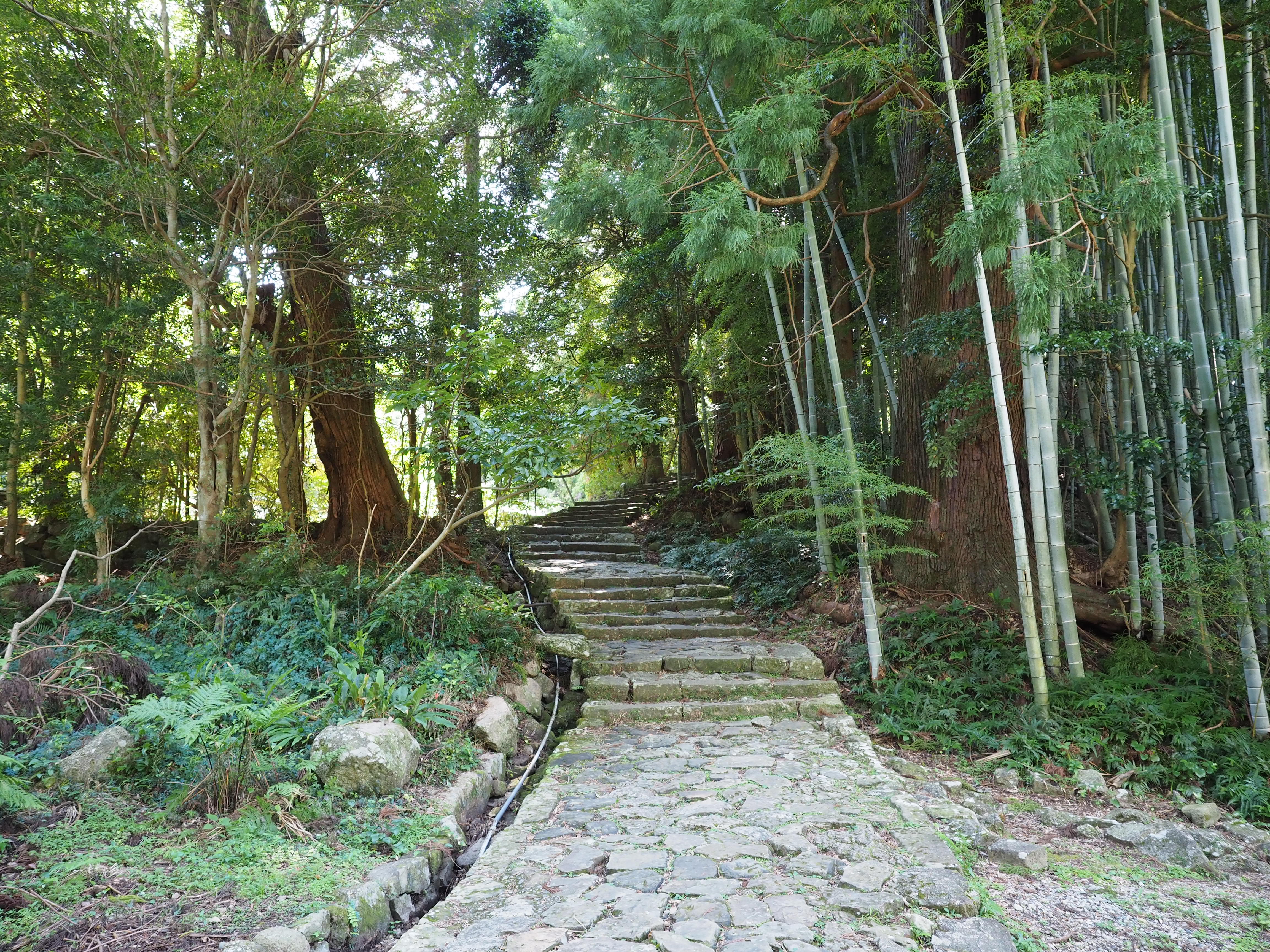 kumano-kodo-trail