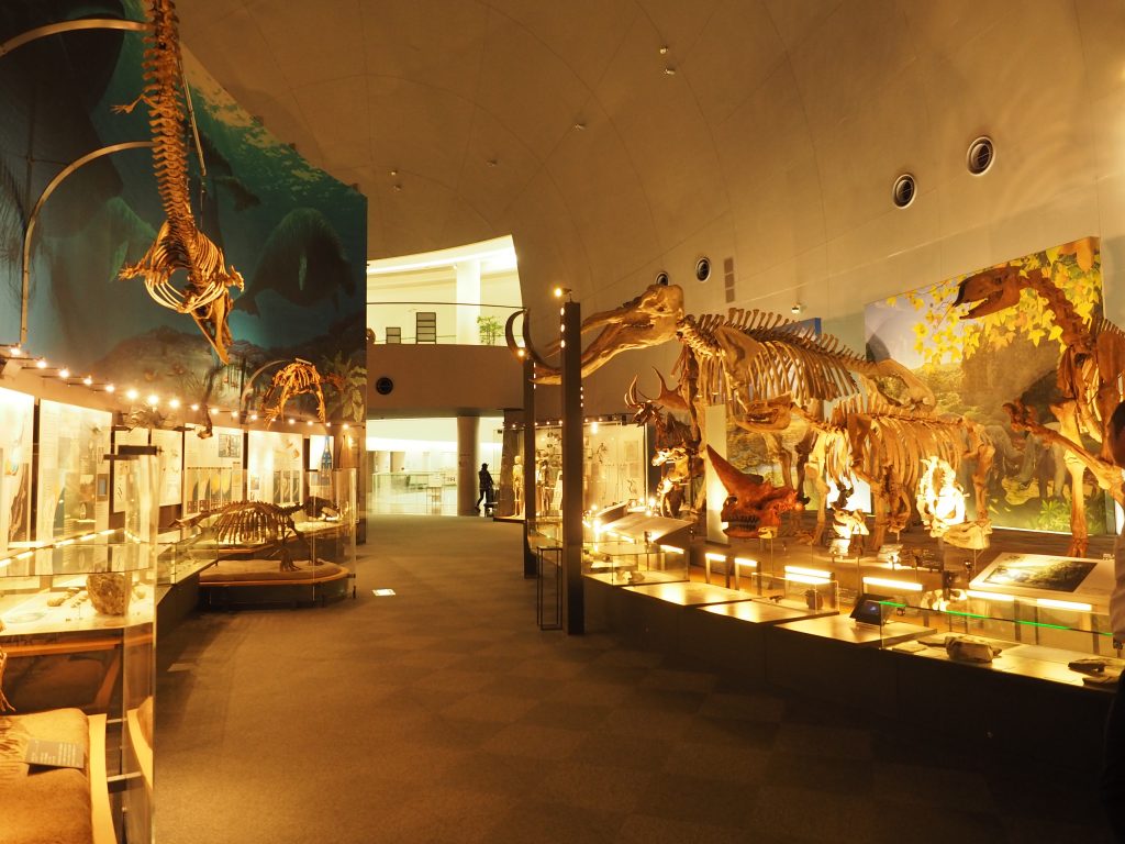 Fukui Prefectural Dinosaur Museum