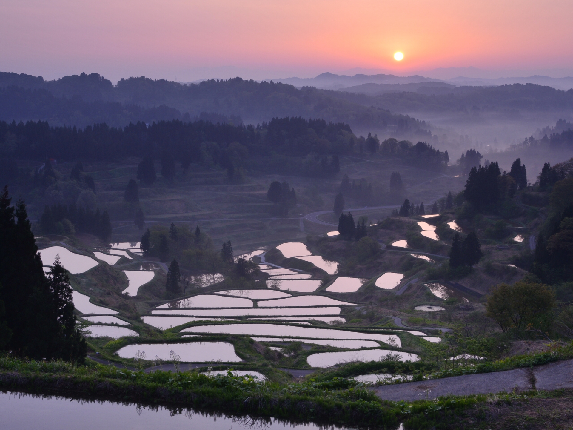 hoshitoge-rice-terraces-niigata