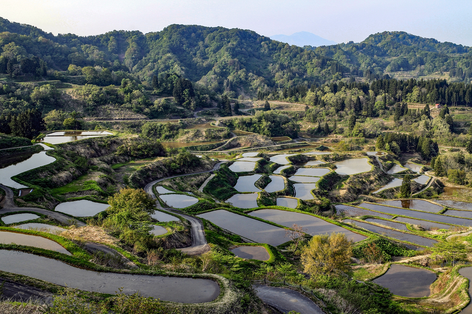 hoshitoge-rice-terraces-niigata