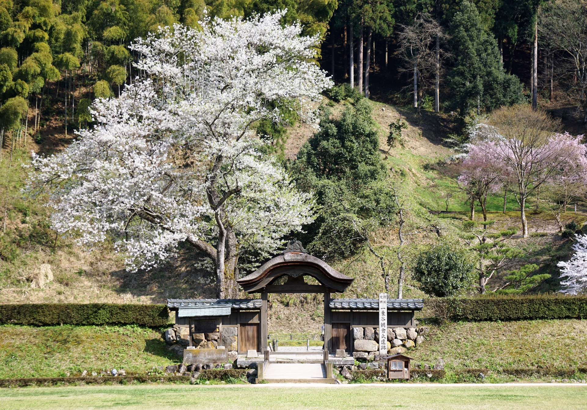 ichijodani-ruins-fukui