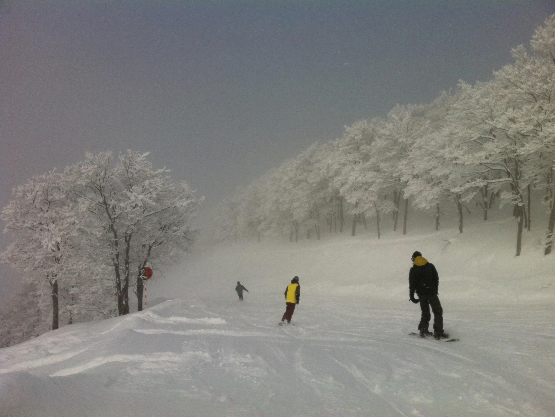 15 Things to Do in Yuzawa & Niigata - SNOW MONKEY RESORTS