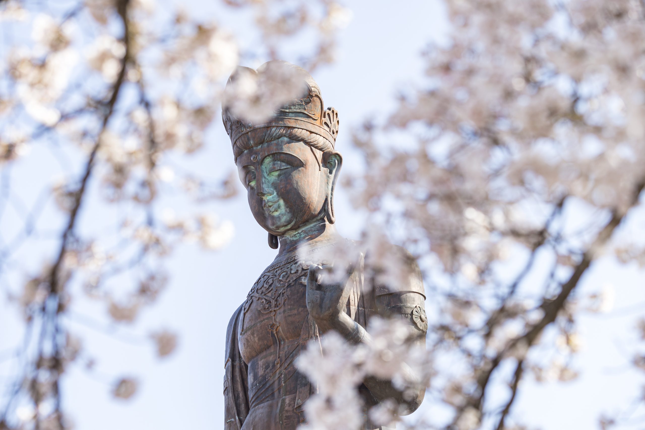 cherry-blossom-yudanaka-onsen-Sekai-Heiwa-Kannon-World-Peace-Buddha-Statu