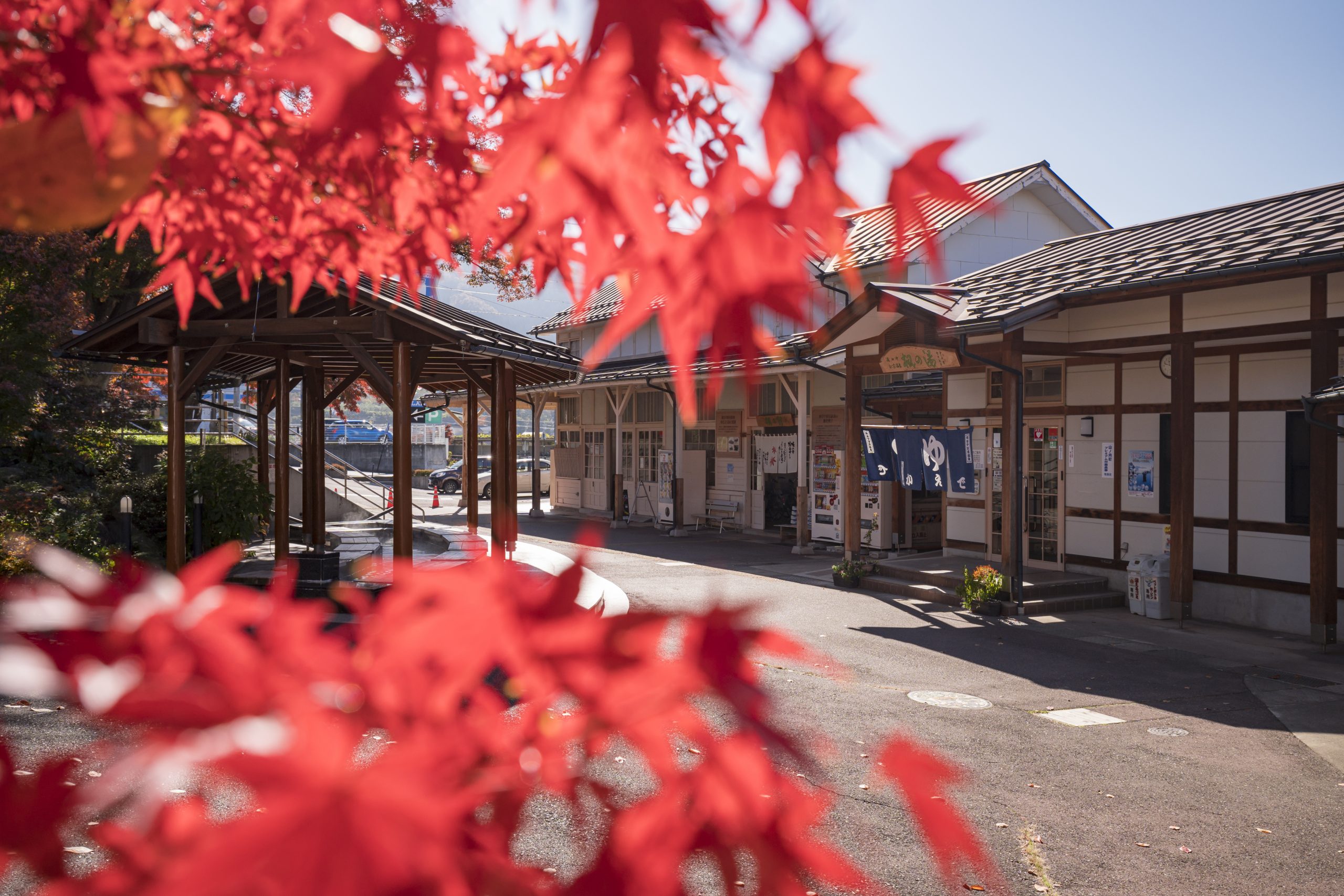 kaede-no-yu-yudanaka-onsen-autumn-leaves