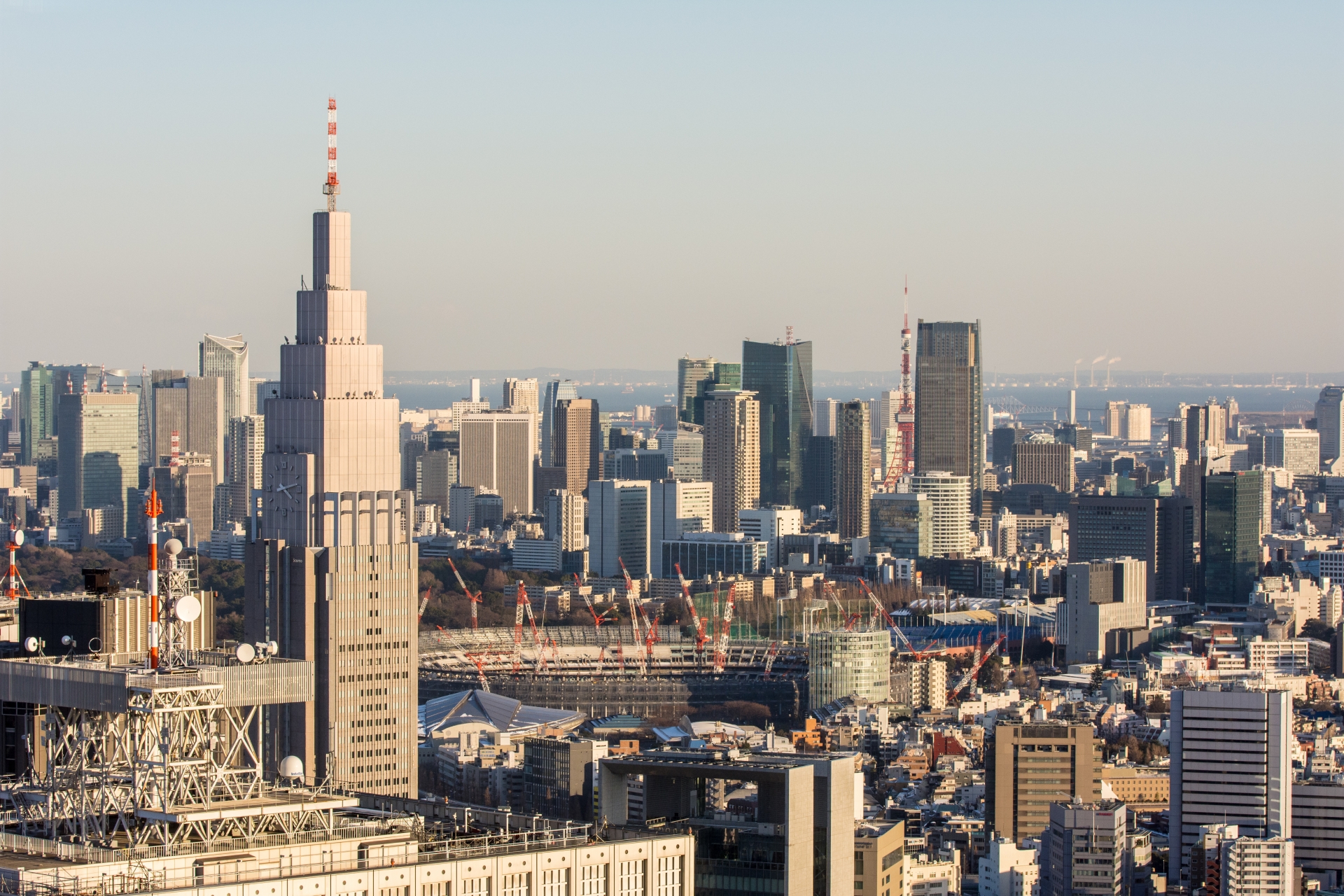 shibuya-tokyo