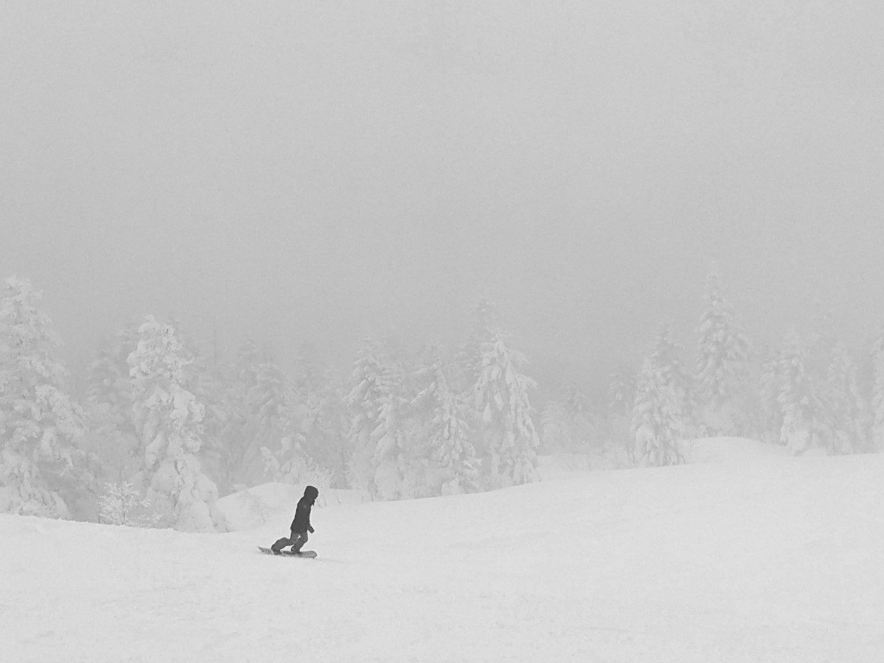 shiga-kogen-terakoya