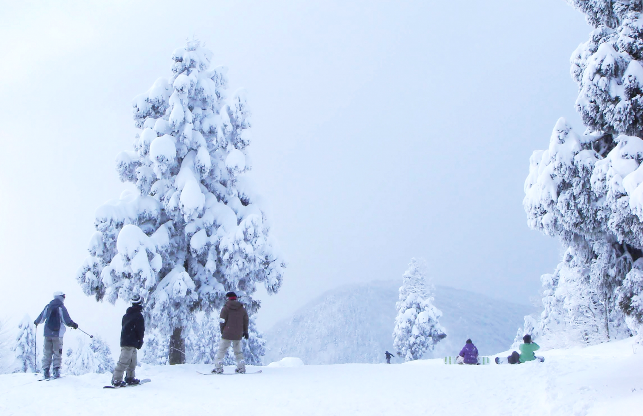 Myoko Kogen Ski Resorts SNOW MONKEY RESORTS