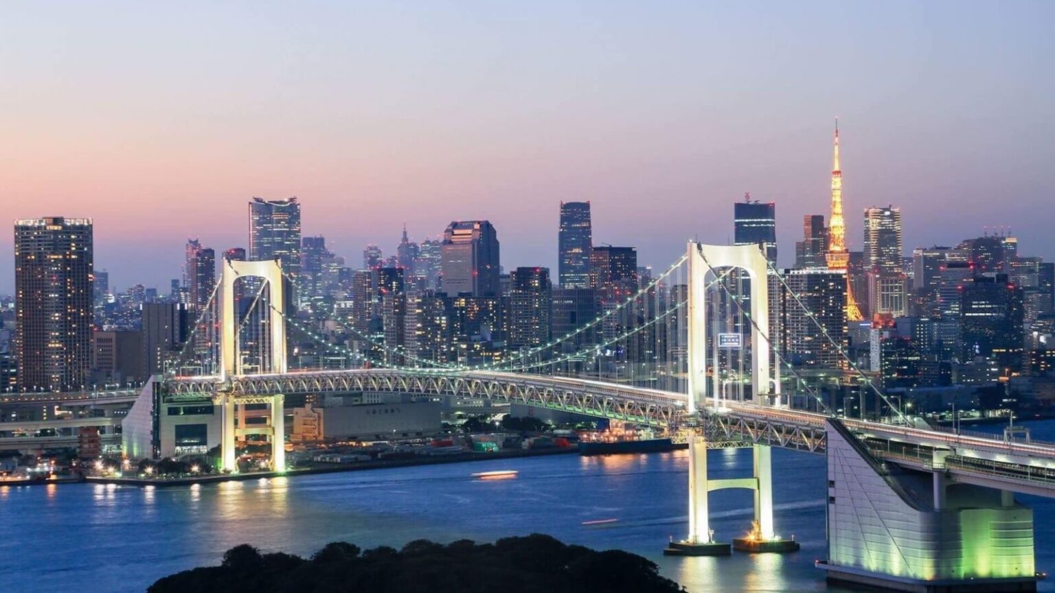 25 Things to Do in Tokyo - SNOW MONKEY RESORTS