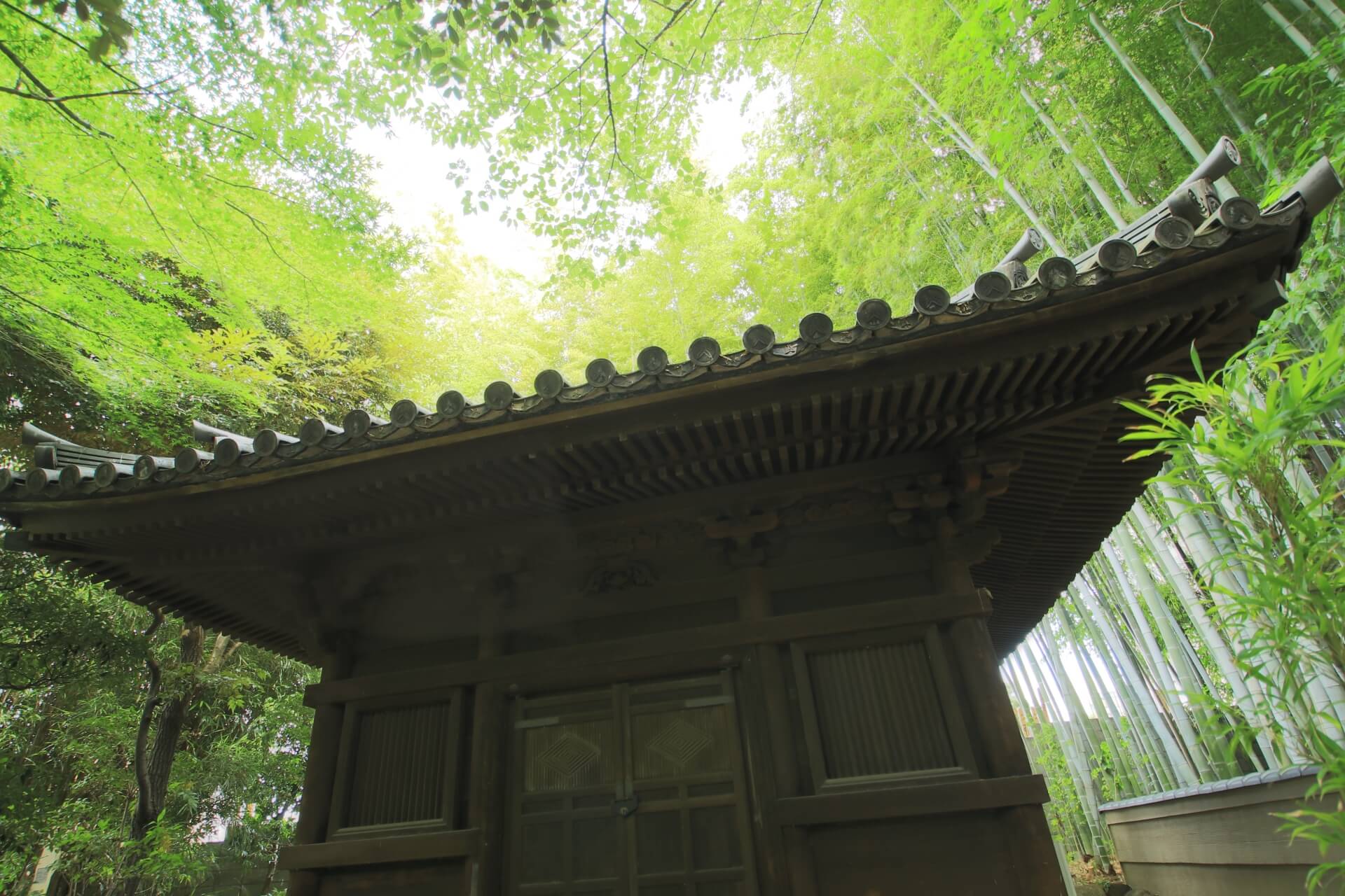 nezu-museum-tokyo