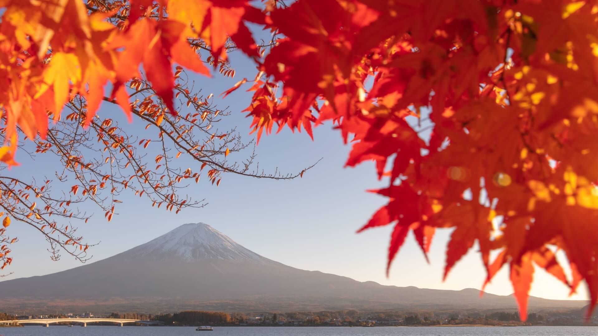 fuji-autumn