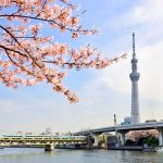 Tokyo’s Best Observatories and Viewpoints of the City