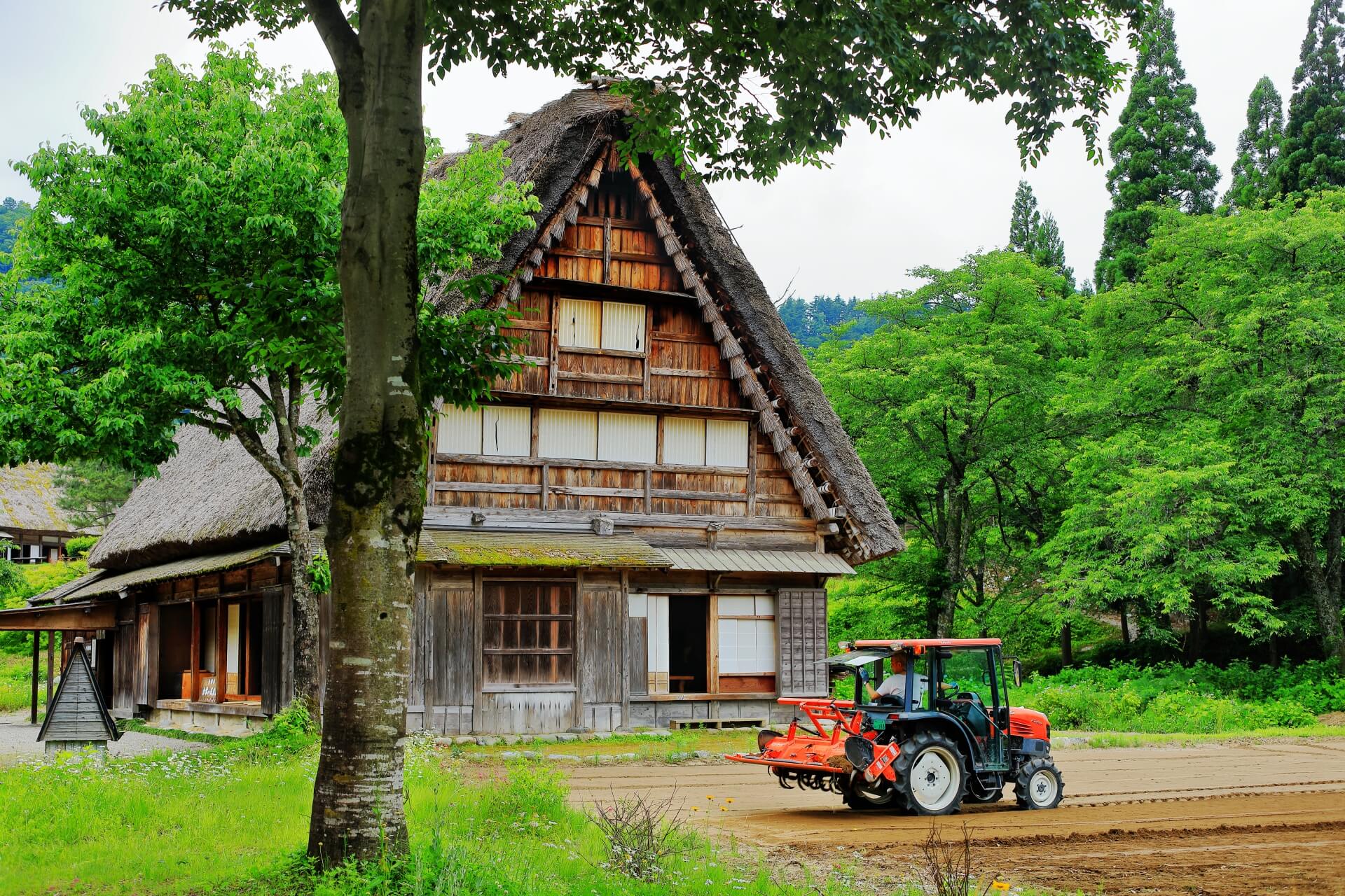 shirakawago