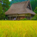 高山和白川鄉的夏天