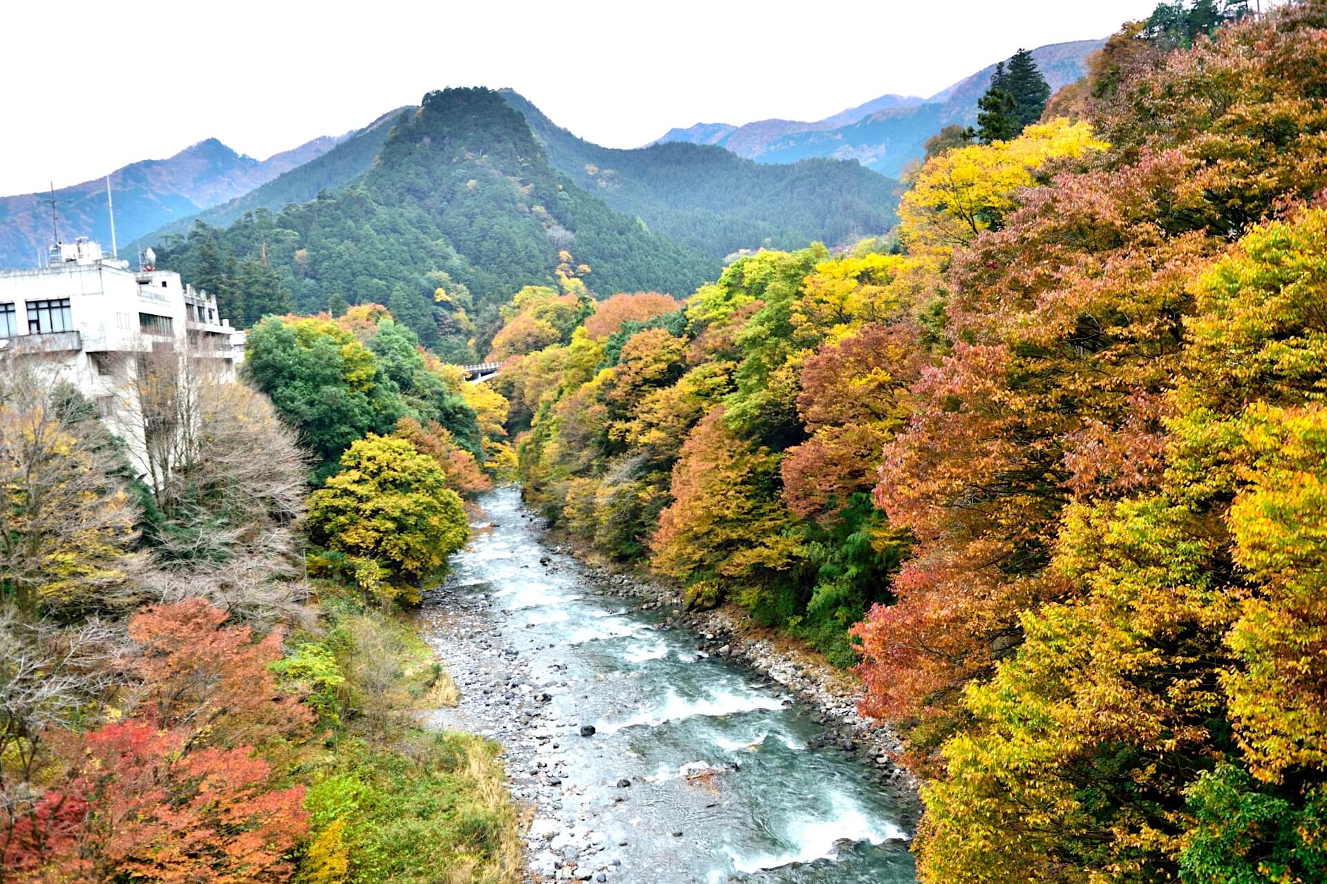 hikawa-valley-tokyo