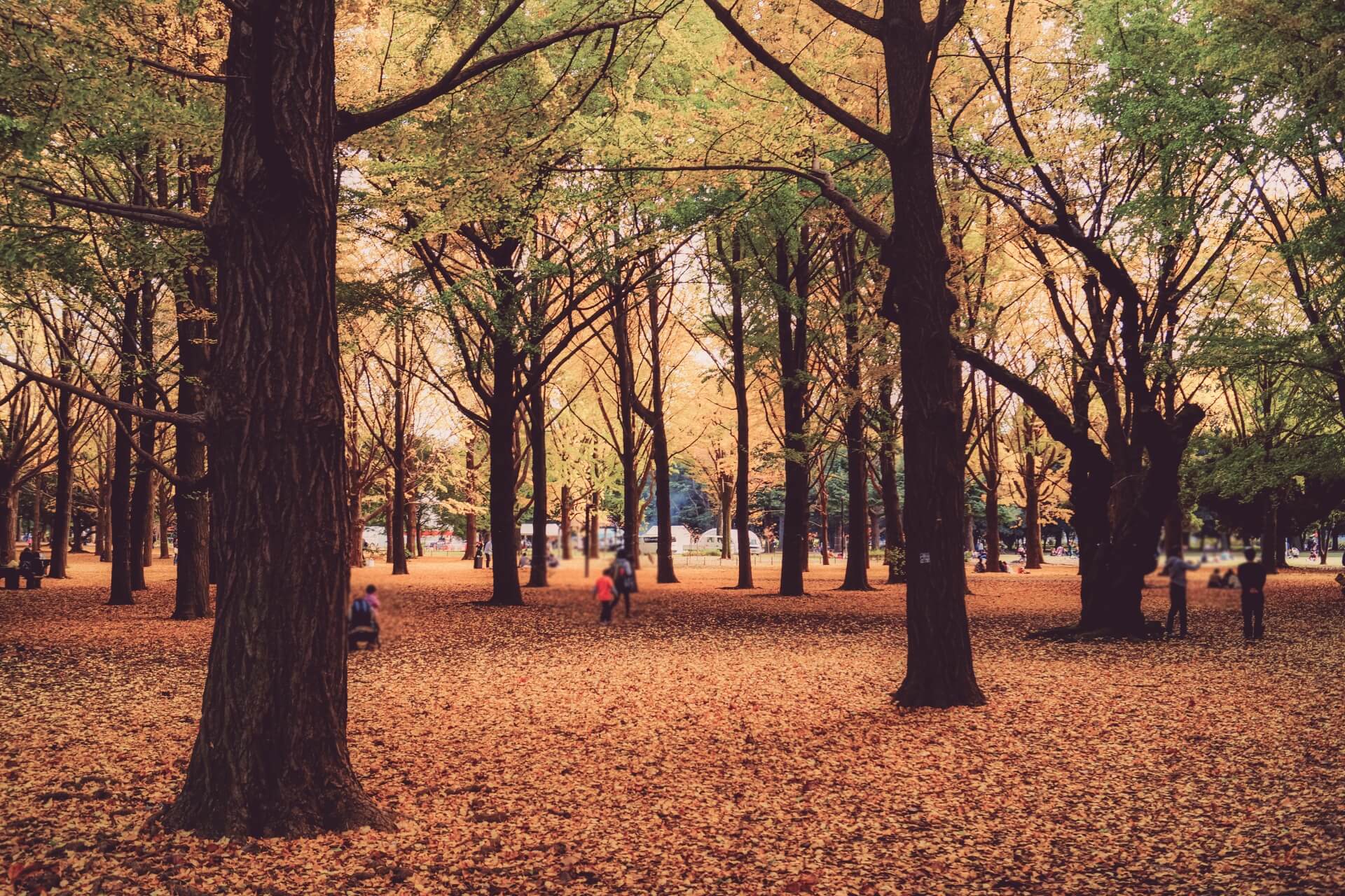 yoyogi-tokyo