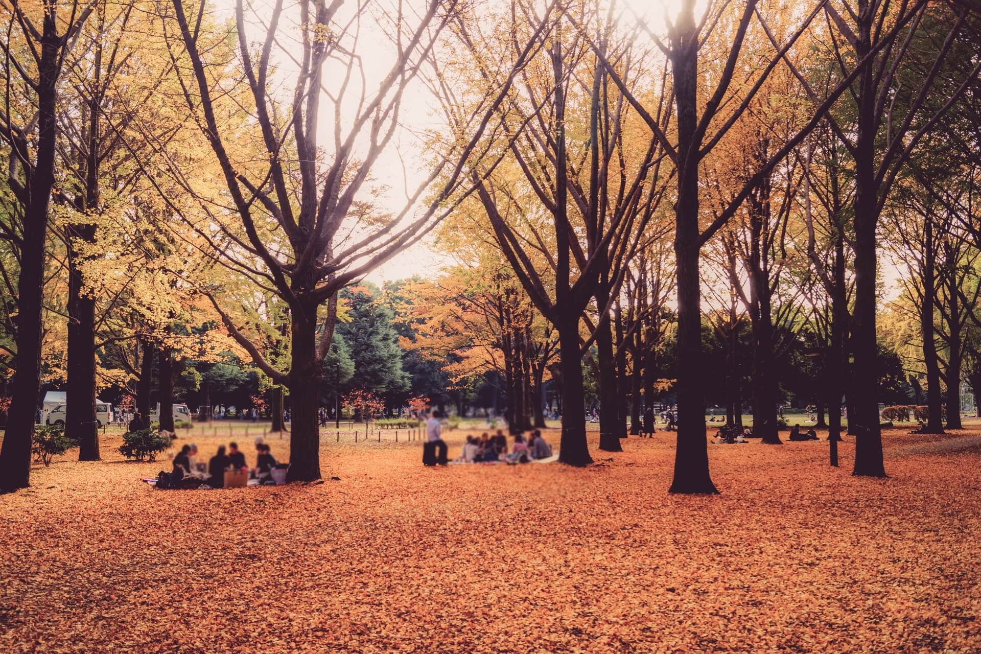 yoyogi-tokyo