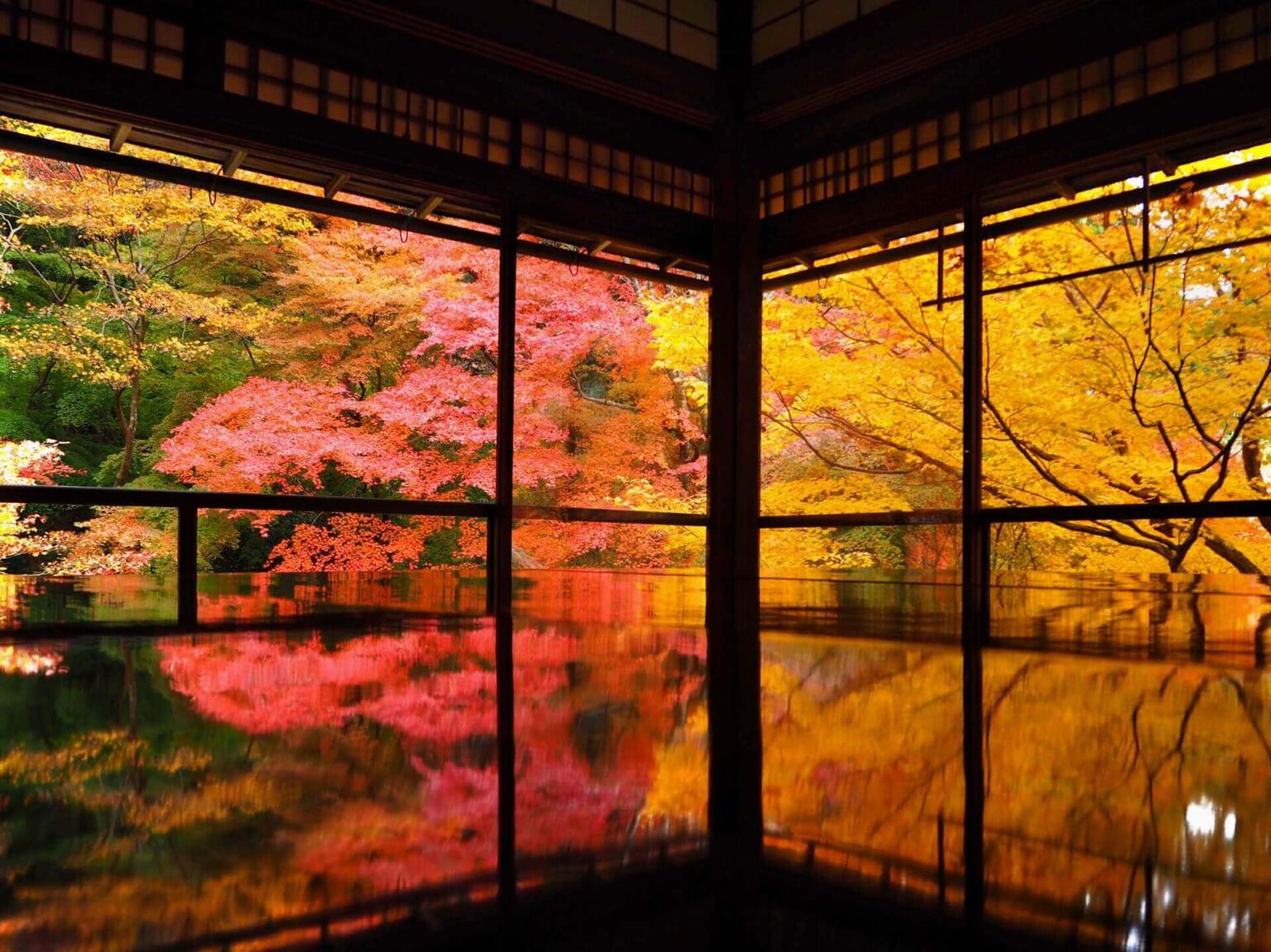10 Best Places to See Autumn Leaves in Kyoto SNOW MONKEY RESORTS