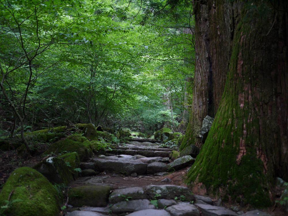 nikko-futarasan