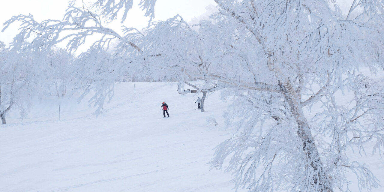 Furano Ski Resort Area - SNOW MONKEY RESORTS