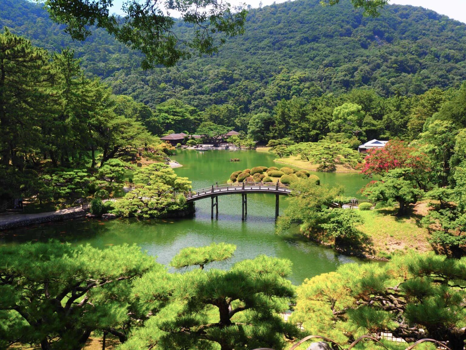 30 Things to Do Around Shikoku & Where to Stay - SNOW MONKEY RESORTS