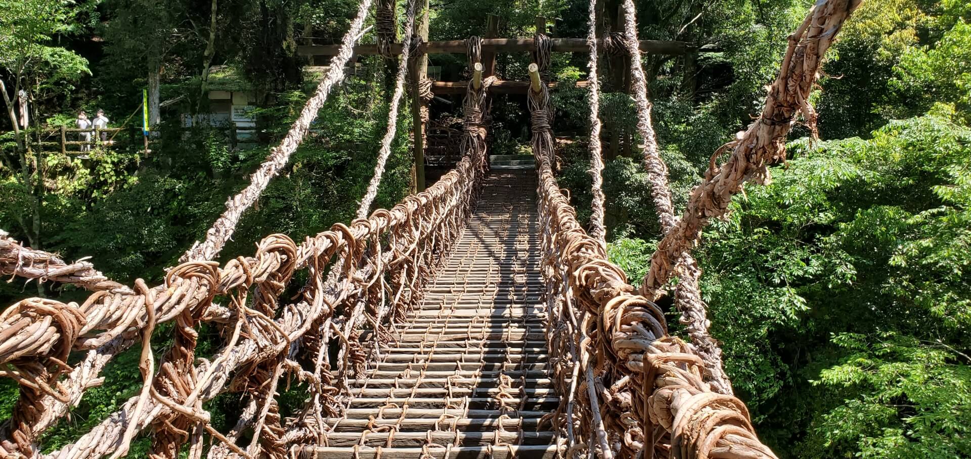 shikoku-tokushima-iya-kazurabashi