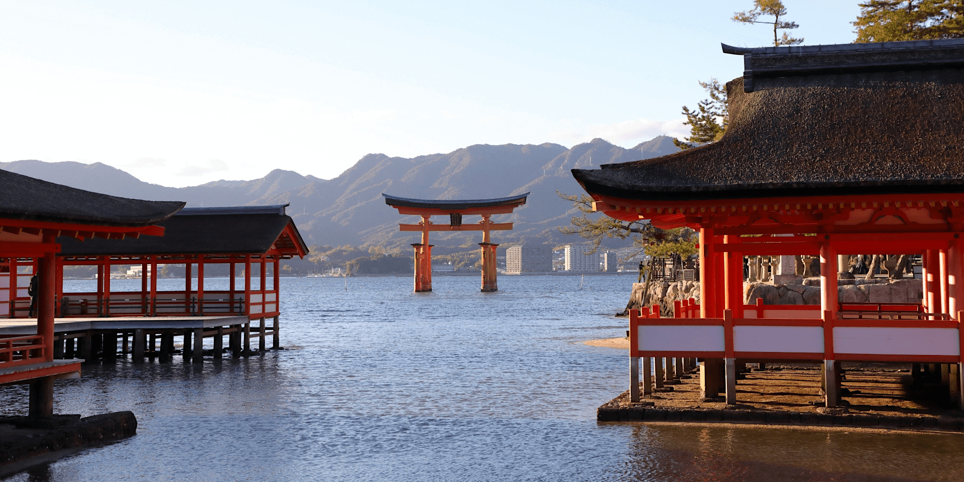 miyajima-banner-edit