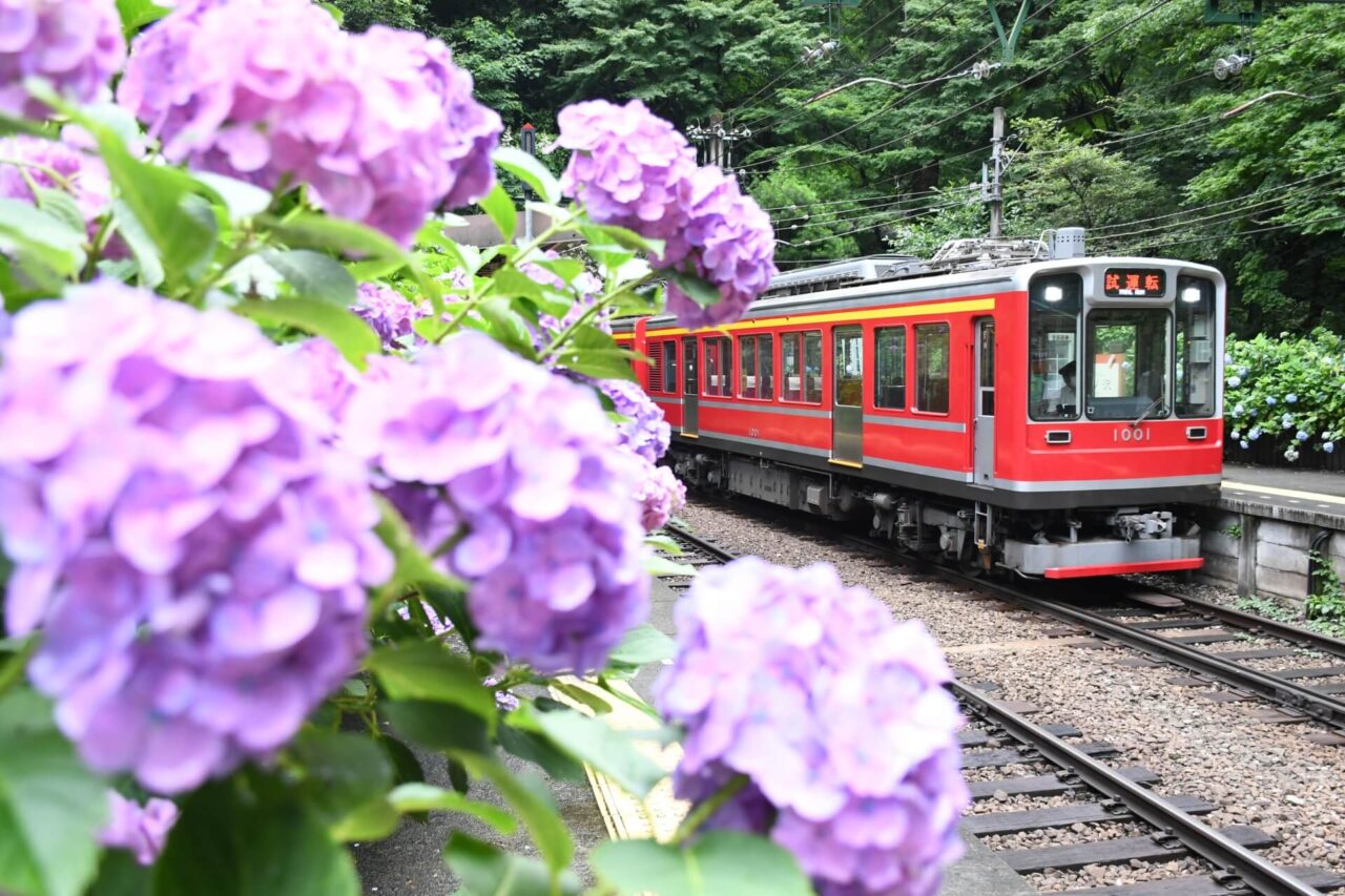 20 Things to Do Around Hakone & Where to Stay SNOW MONKEY RESORTS