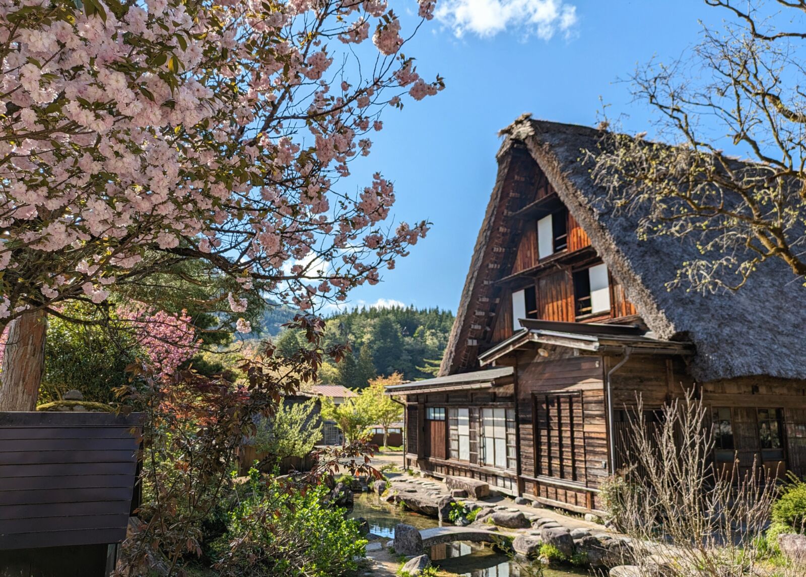 shirakawago